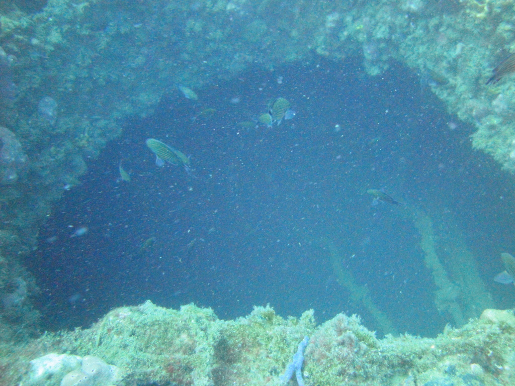 DSC00158.JPG
