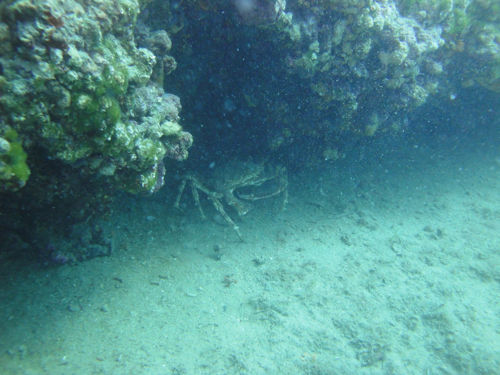 DSC00168.JPG
