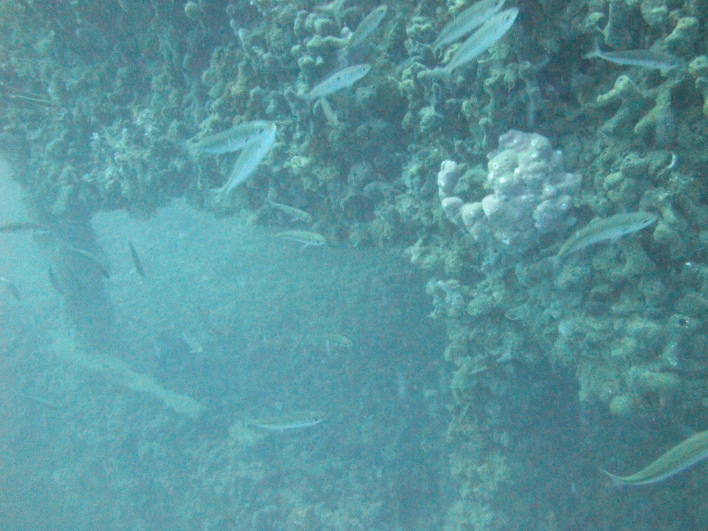 DSC00178.JPG