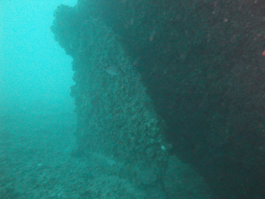 DSC00184.JPG