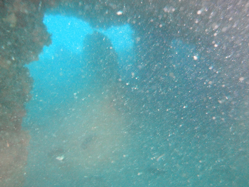 DSC00217.JPG