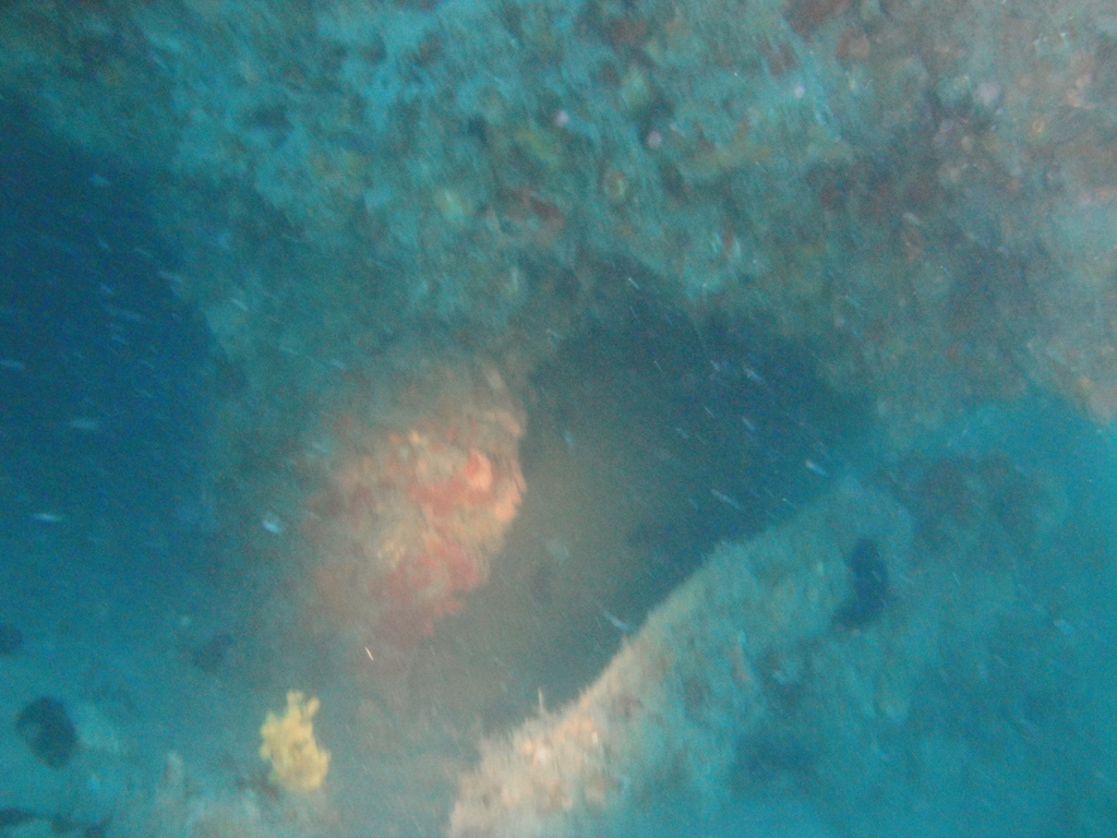 DSC00220.JPG