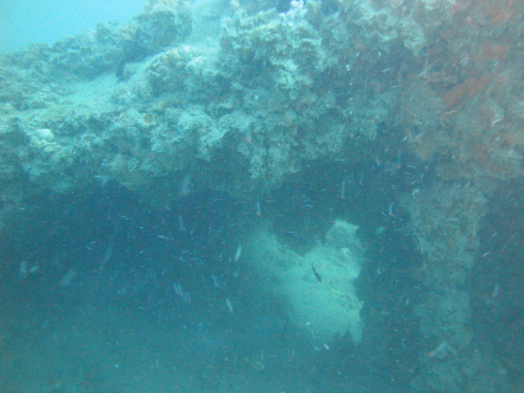 DSC00232.JPG