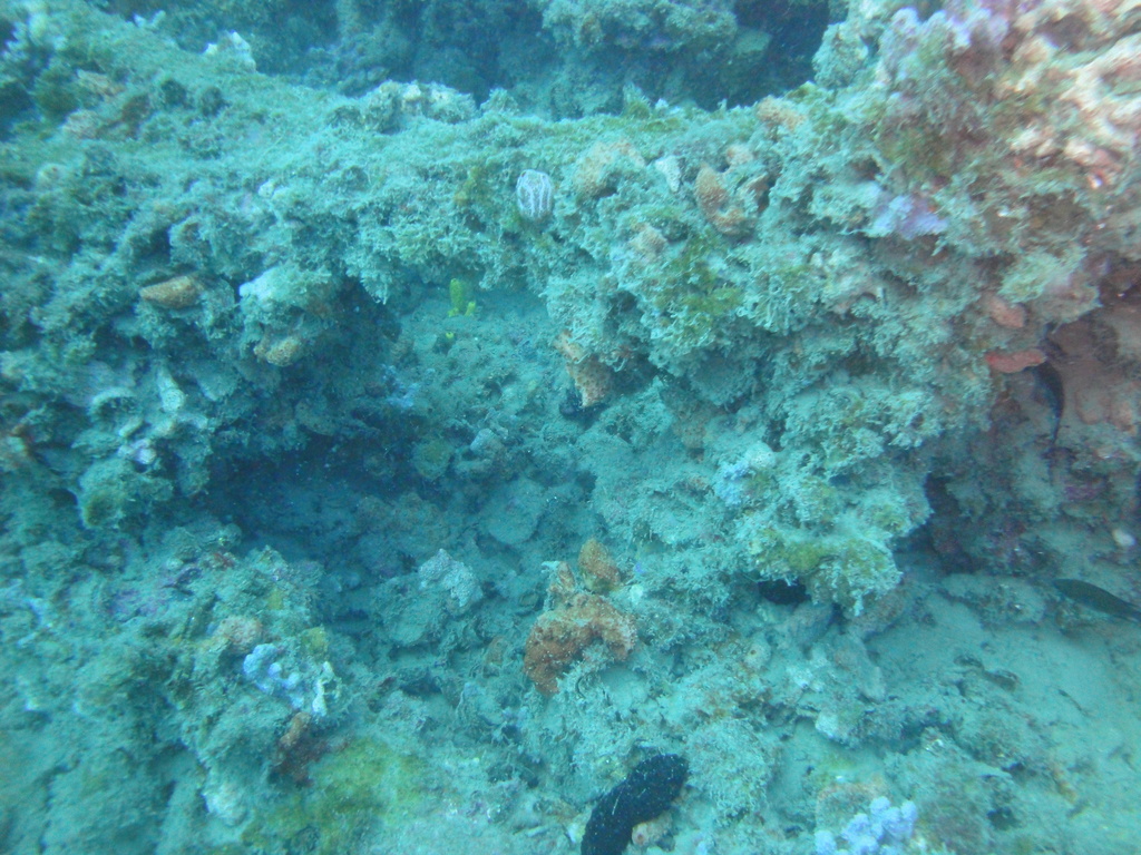 DSC00248.JPG
