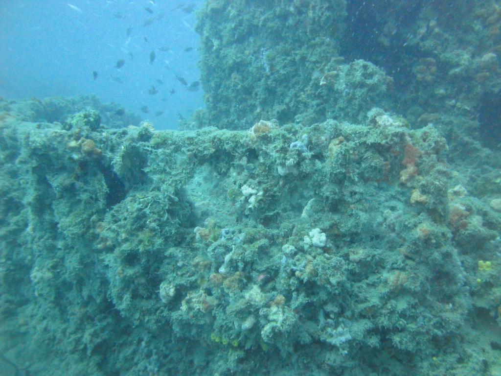 DSC00258.JPG