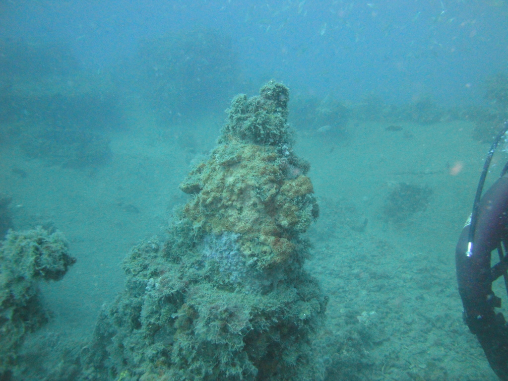 DSC00264.JPG