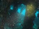 DSC00089.JPG