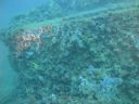 DSC00094.JPG