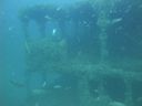 DSC00096.JPG