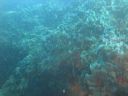 DSC00101.JPG