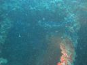 DSC00102.JPG