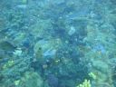 DSC00107.JPG