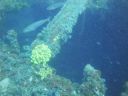 DSC00108.JPG