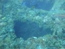 DSC00110.JPG