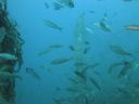 DSC00114.JPG