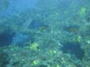 DSC00118.JPG