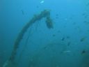 DSC00119.JPG