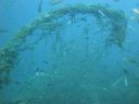 DSC00121.JPG