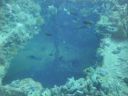 DSC00123.JPG