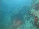 DSC00234.JPG