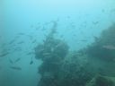 DSC00235.JPG