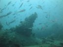 DSC00236.JPG