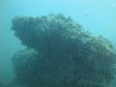 DSC00237.JPG
