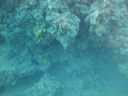DSC00243.JPG