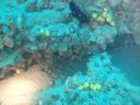 DSC00244.JPG