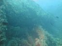 DSC00245.JPG