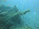 DSC00247.JPG