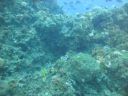 DSC00249.JPG
