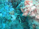 DSC00250.JPG