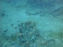 DSC00252.JPG