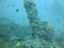 DSC00253.JPG