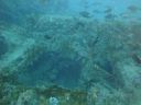 DSC00254.JPG