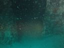DSC00262.JPG