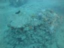 DSC00265.JPG
