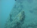 DSC00266.JPG