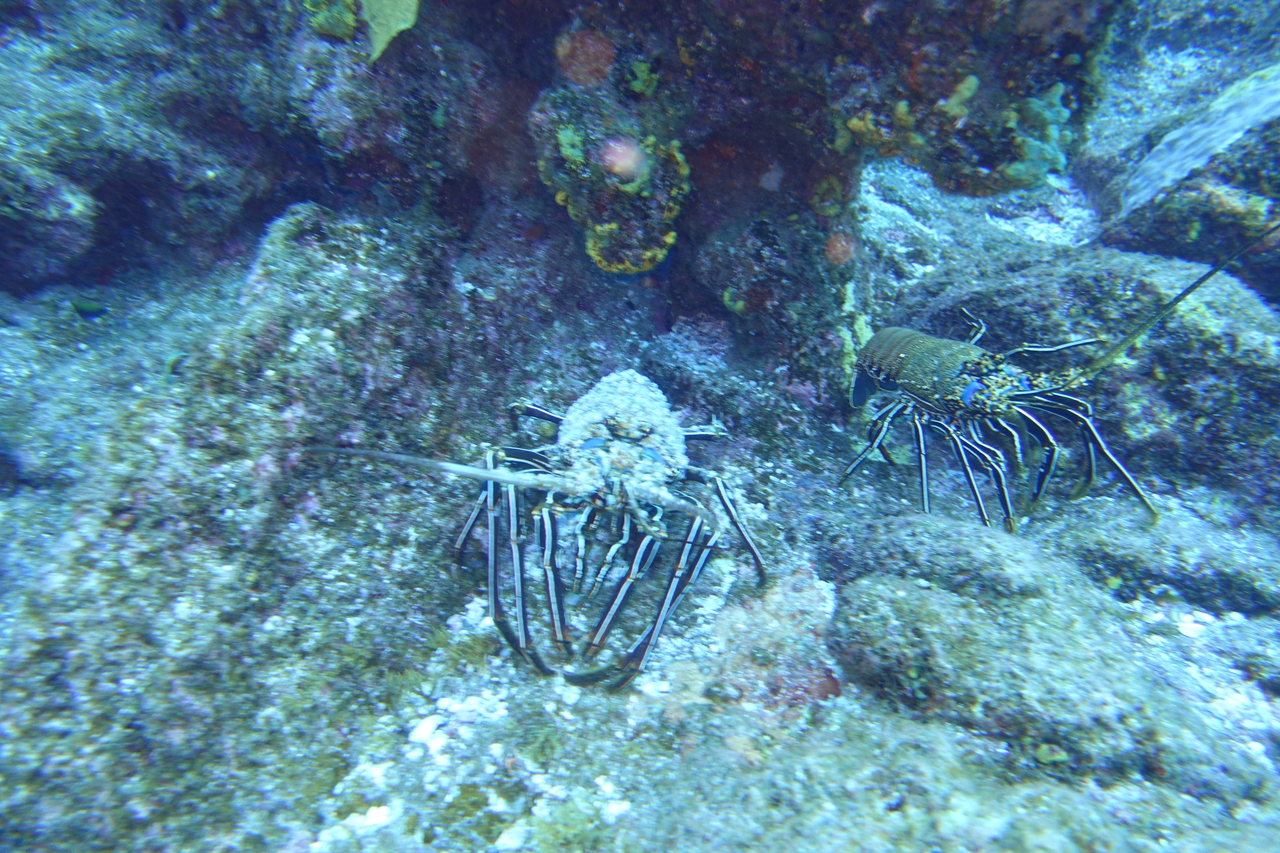 DSC00117.JPG