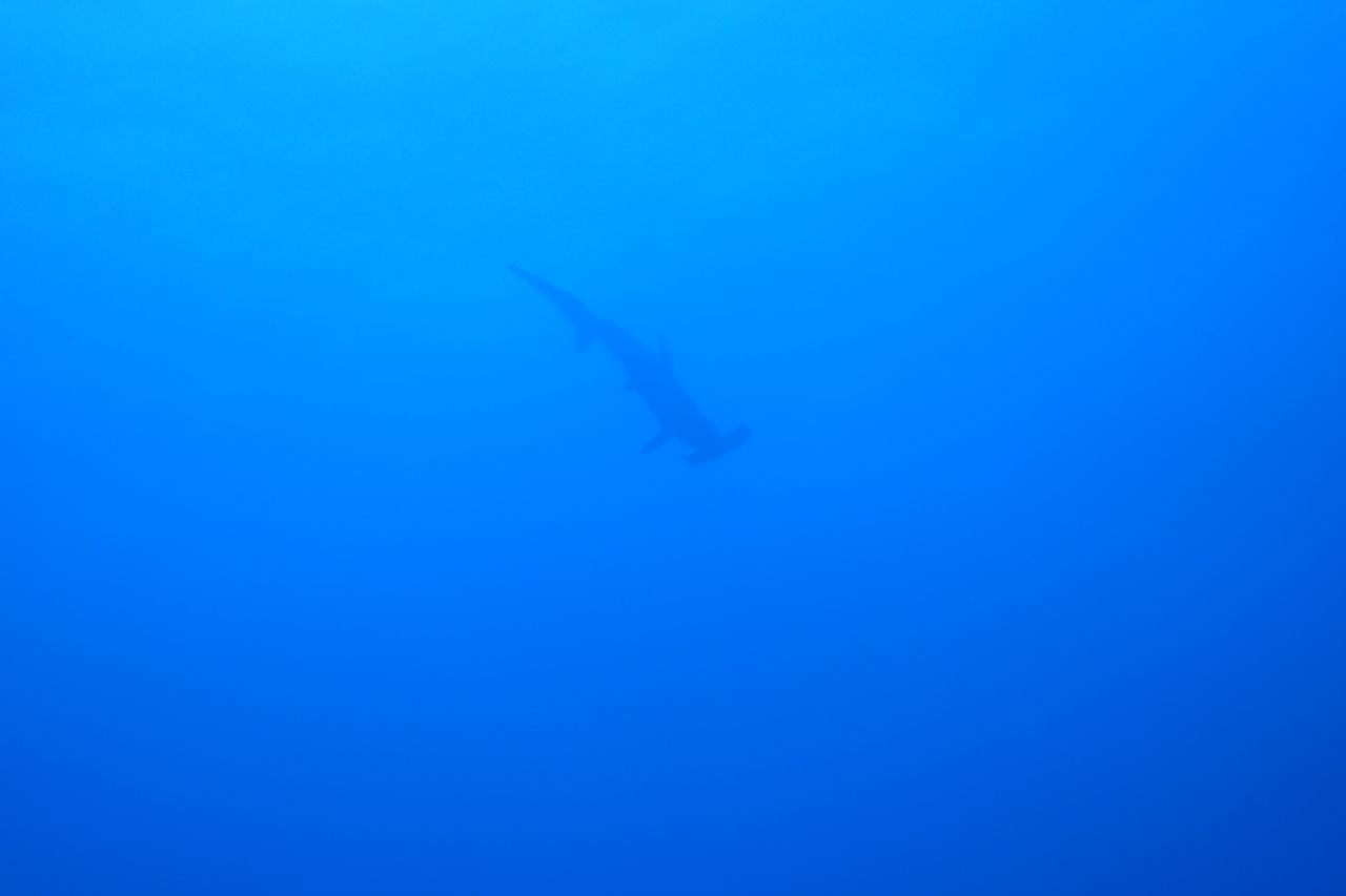 DSC00144.JPG