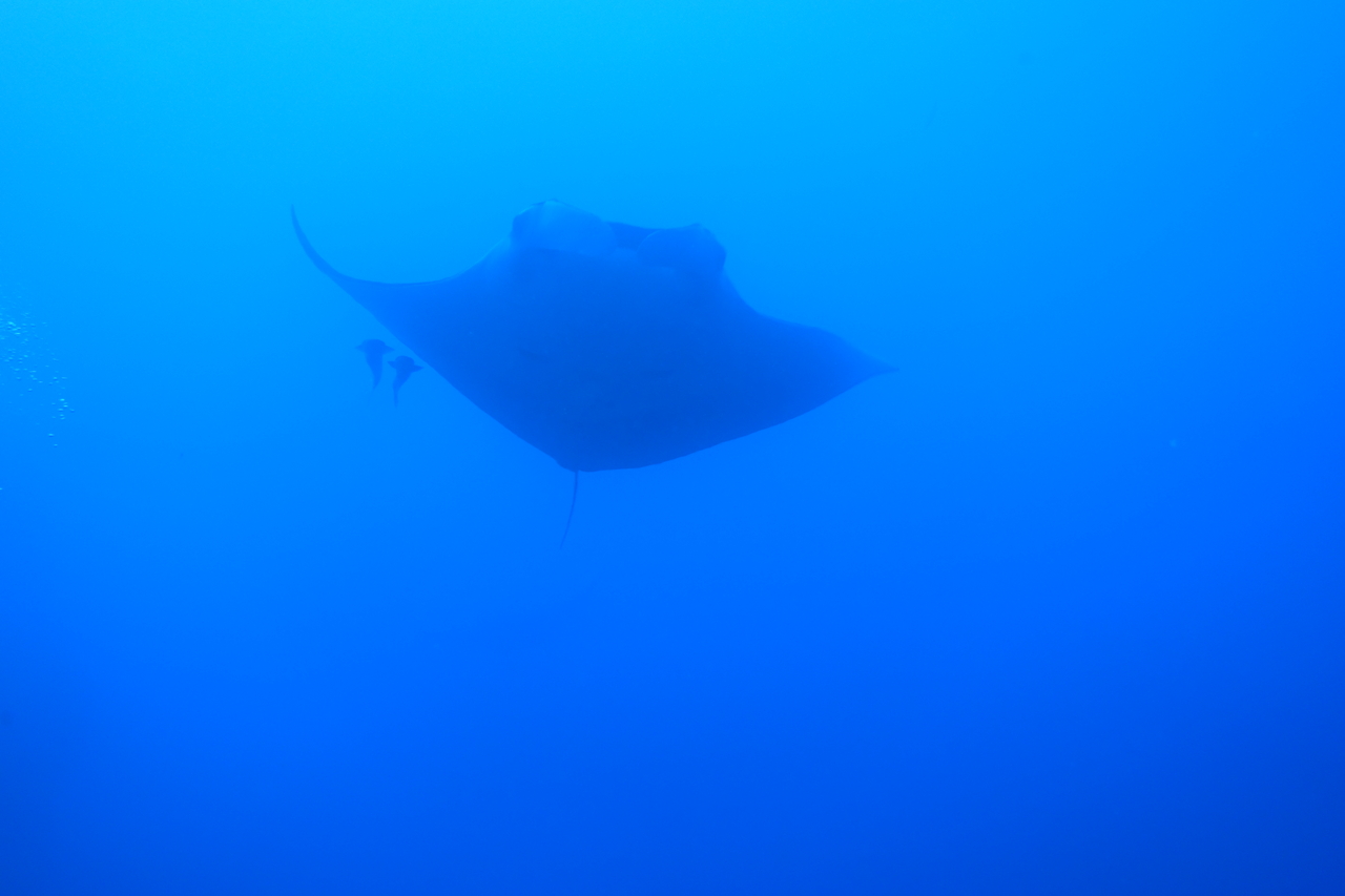 DSC00145.JPG