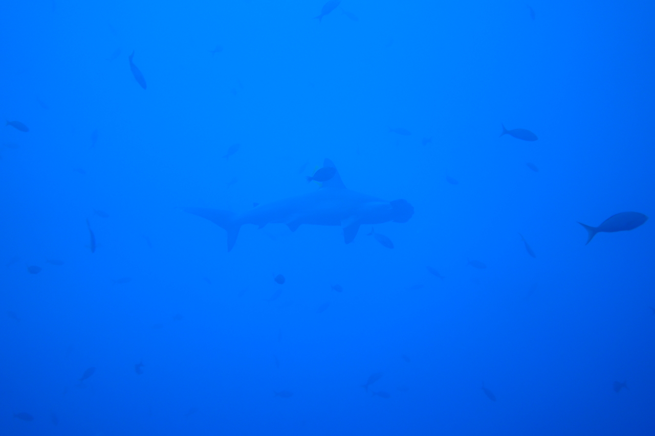 DSC00155.JPG