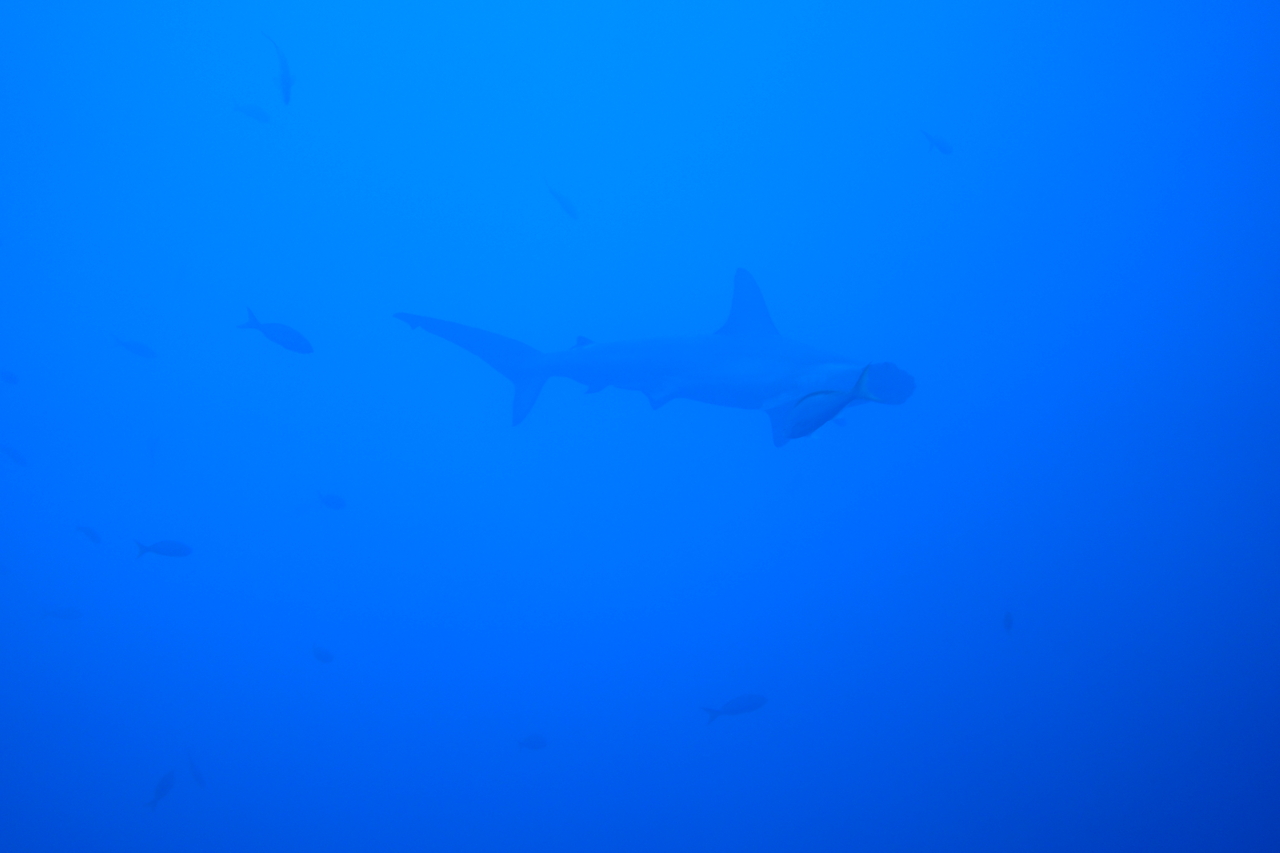 DSC00156.JPG
