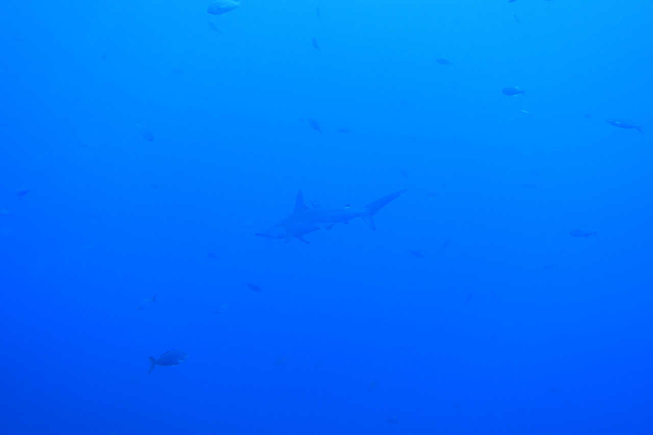 DSC00165.JPG