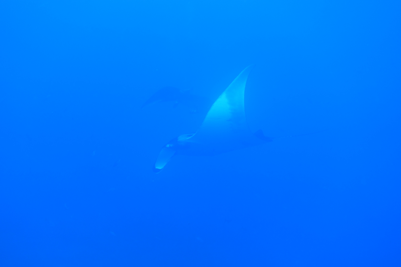 DSC00191.JPG