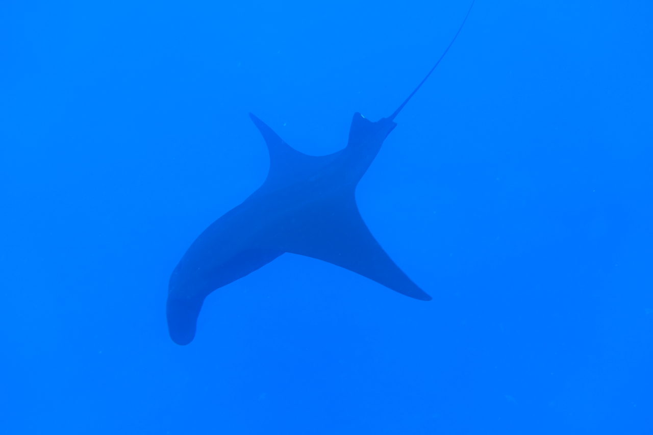 DSC00201.JPG