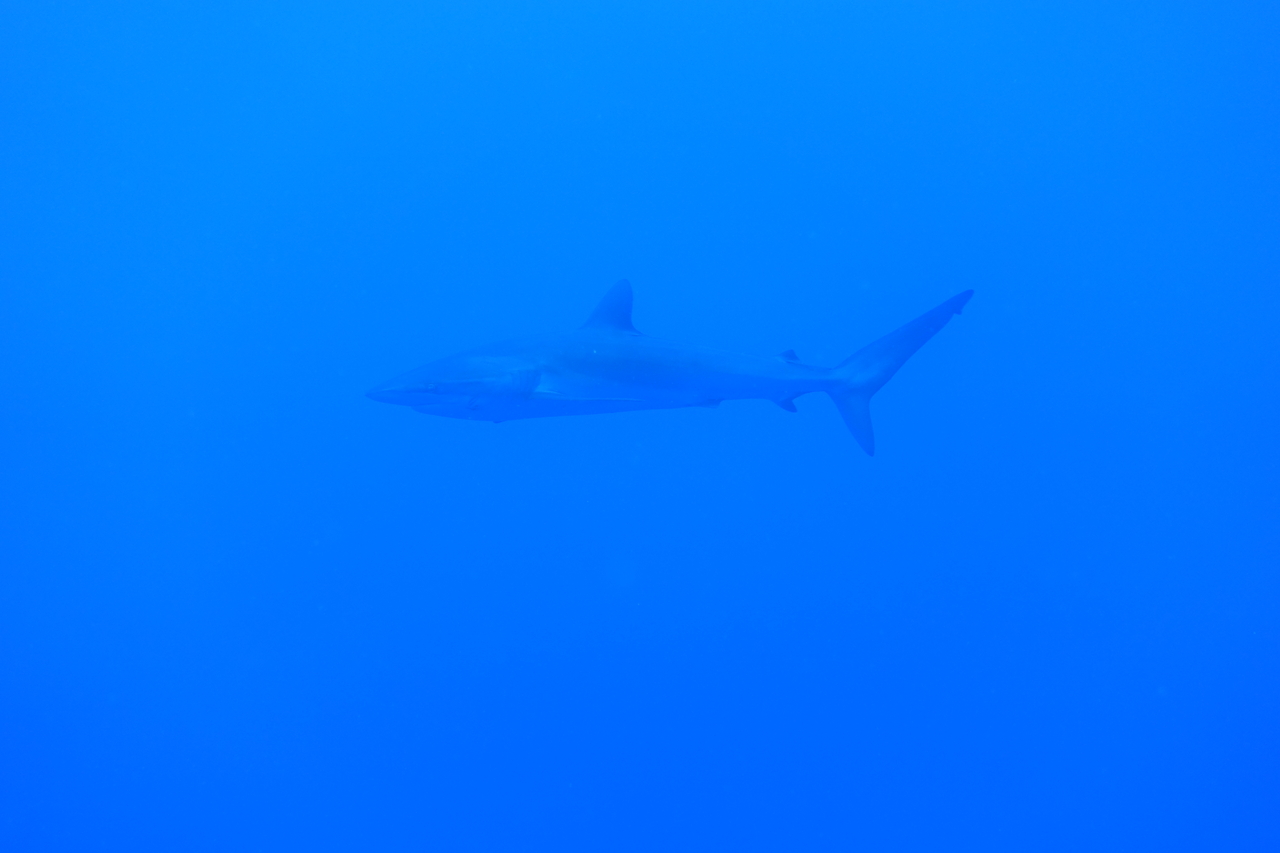 DSC00210.JPG