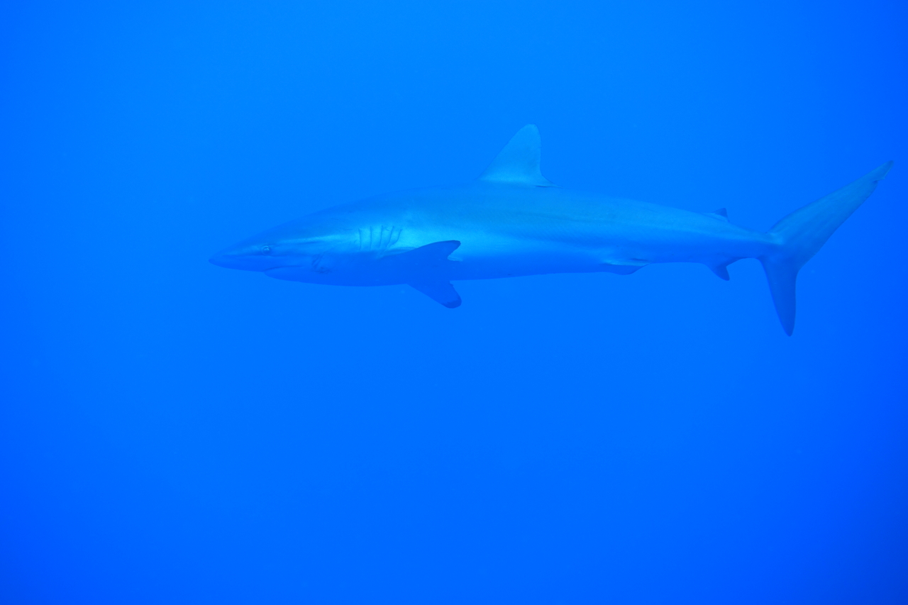 DSC00216.JPG