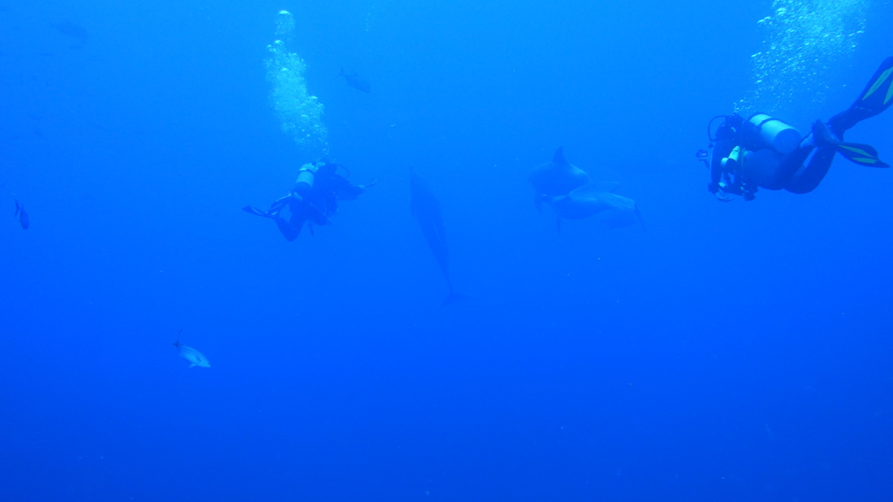 DSC00246.JPG